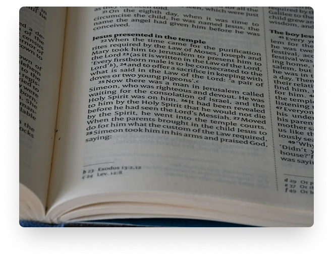Wikipedia biography writing